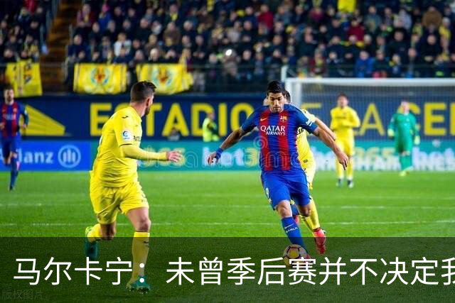 马尔卡宁：未曾季后赛并不决定我职业生涯的结局